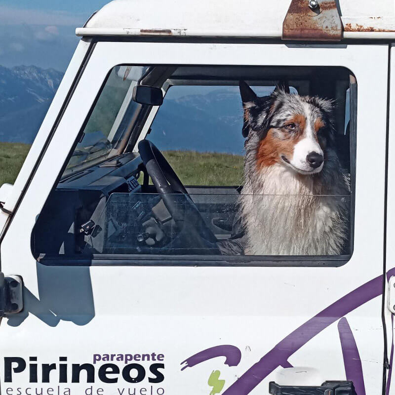 Parapente Pirineos, Paragliding Courses, Paragliding Benasque, Paragliding Castejón de Sos, Tandem Paragliding, Flying in Paragliding, Benasque, Pyrenees, Active Tourism, Paragliding School, Paragliding, Adventure Sports, Paragliding Gift, Paragliding Huesca, Paragliding Trip, Mountain Paragliding, Paragliding Ribagorza,